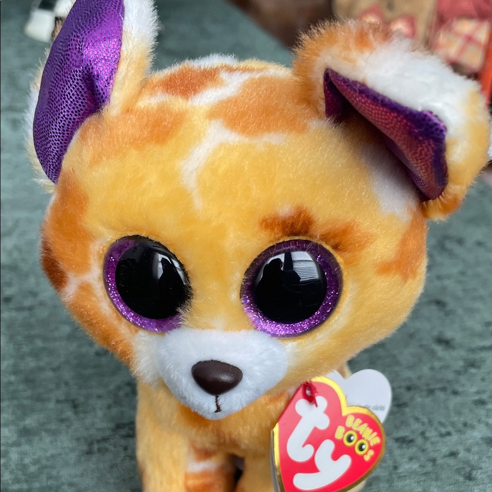 Ty Orange Pablo Chihuahua Plush with Purple Glitter Eyes - Picture 4 of 4
